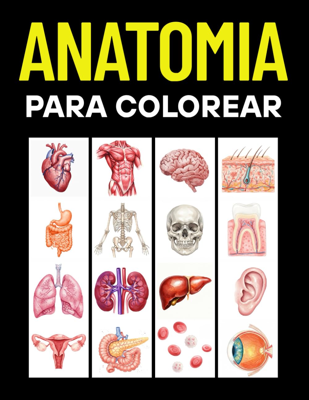Anatomia Para Colorear: Cuaderno de Anatomía Humana y Neurociencia – Libro de Colorear Cuerpo Humano, Educativo con Ilustraciones Detalladas