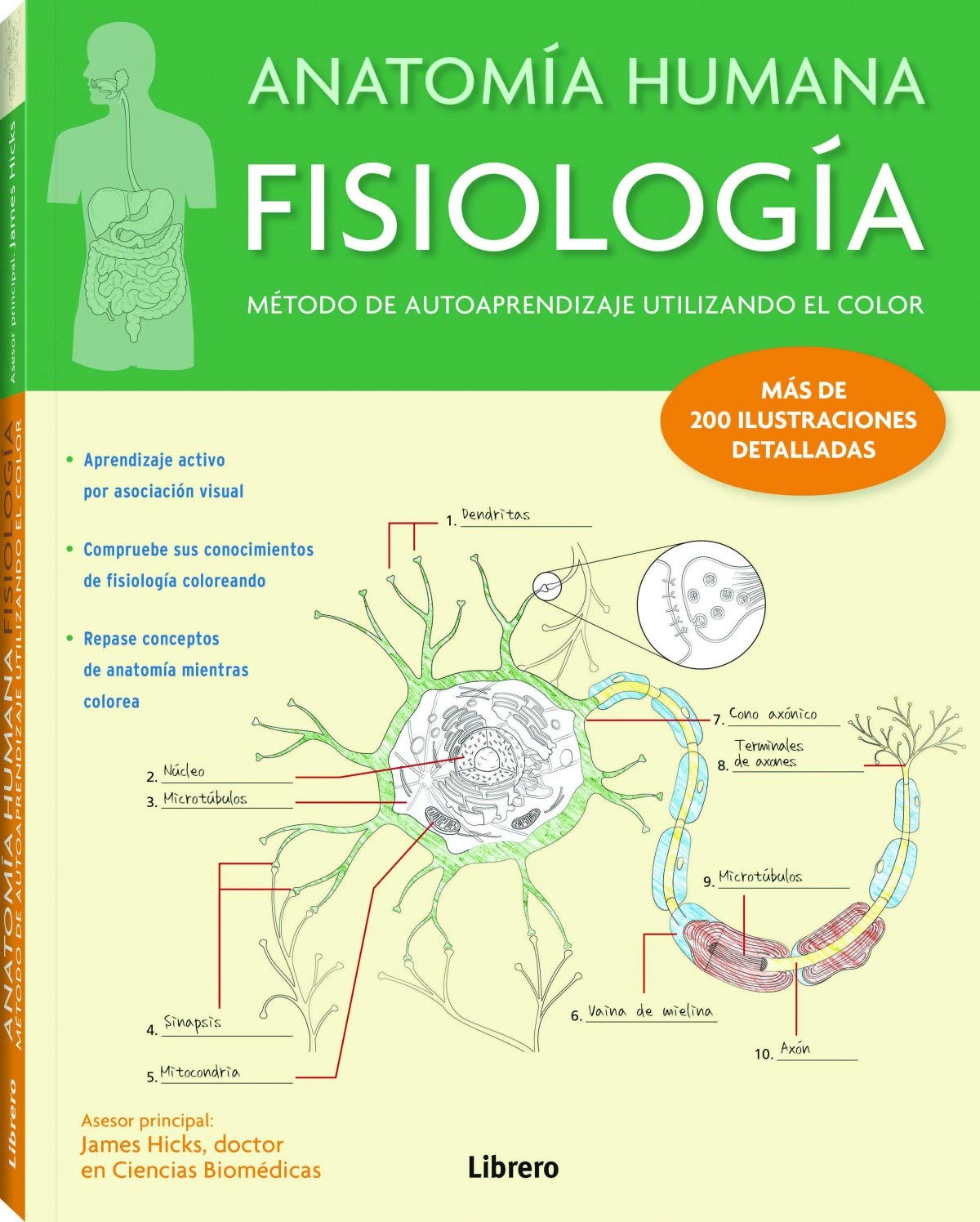 Anatomía Humana Fisiología : Método De Autoaprendizaje Utilizando el Color: APRENDER POR COLOR