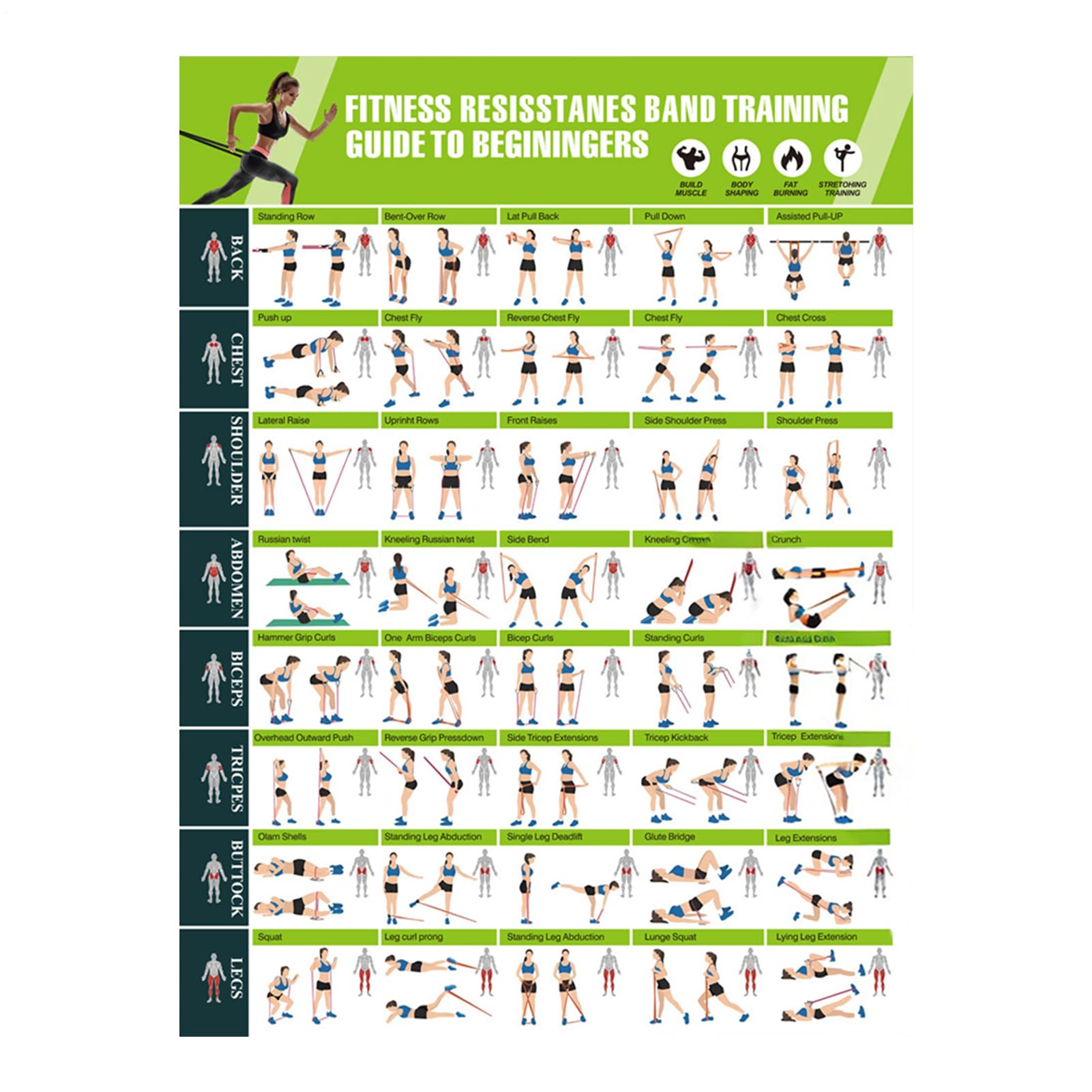 Póster De Entrenamiento De Ejercicio – Póster De Rutina De Estiramiento, Tabla De Ejercicios Con Barra, Guía De Bandas De Resistencia, Planificador Para Desarrollo Muscular, Gimnasio, Yoga, Entrenamie