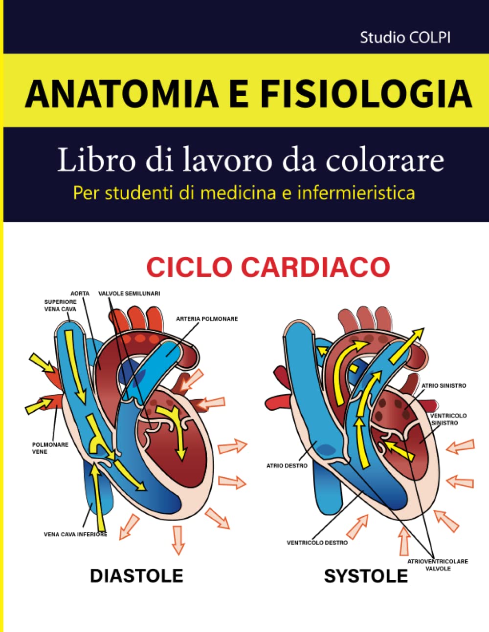 Anatomia e Fisiologia Libro di Lavoro da Colorare Per Studenti di Medicina e Infermieristica: Un modo Divertente e Rilassante per Imparare e Rivedere. La Guida Definitiva Allo Studio